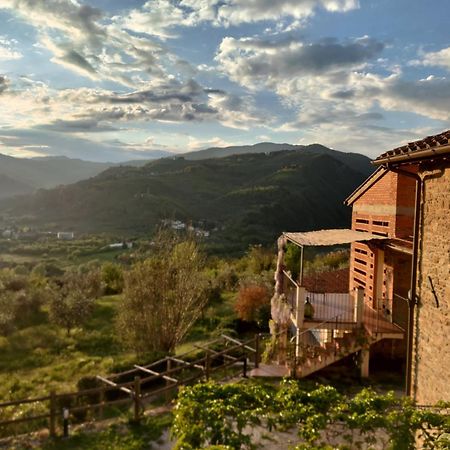 Agriturismo La Fontaccia Rufina ภายนอก รูปภาพ