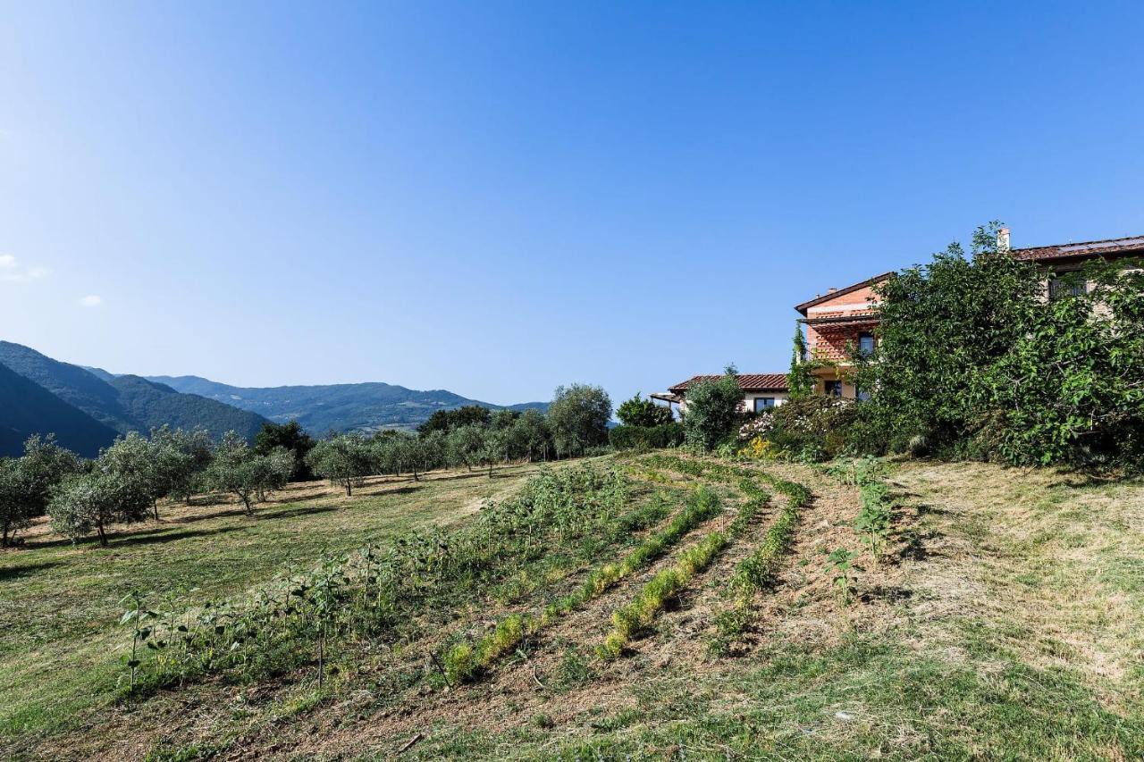 Agriturismo La Fontaccia Rufina ภายนอก รูปภาพ
