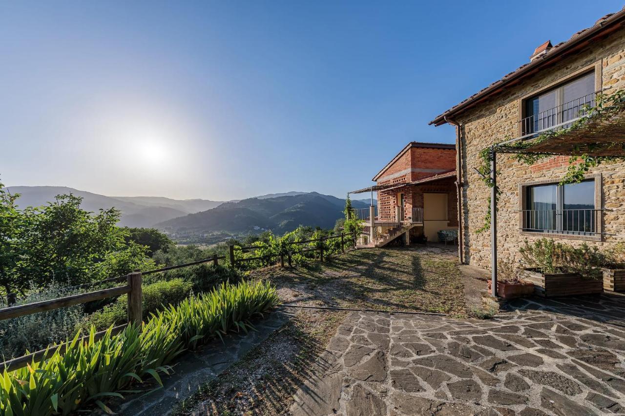 Agriturismo La Fontaccia Rufina ภายนอก รูปภาพ