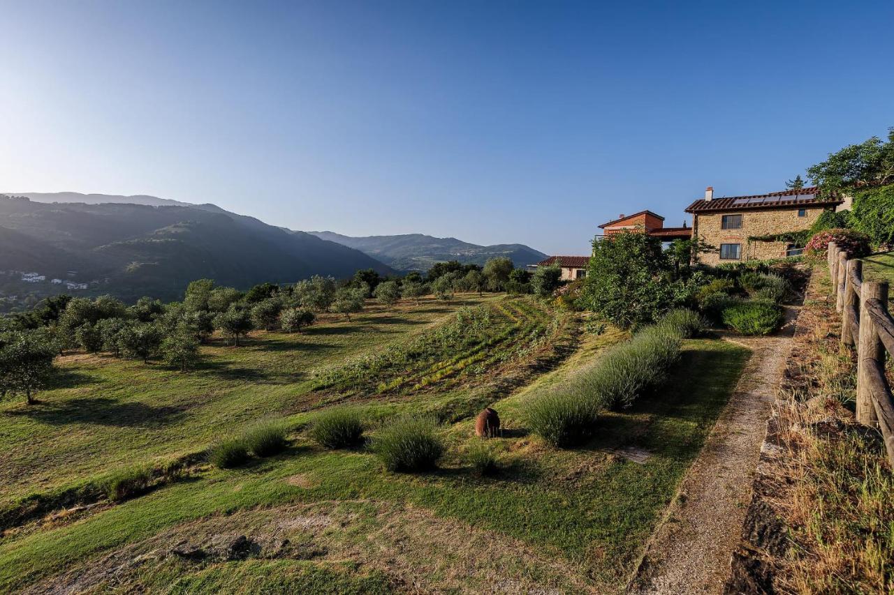 Agriturismo La Fontaccia Rufina ภายนอก รูปภาพ