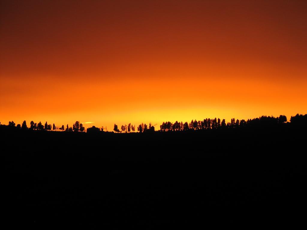 Agriturismo La Fontaccia Rufina ภายนอก รูปภาพ