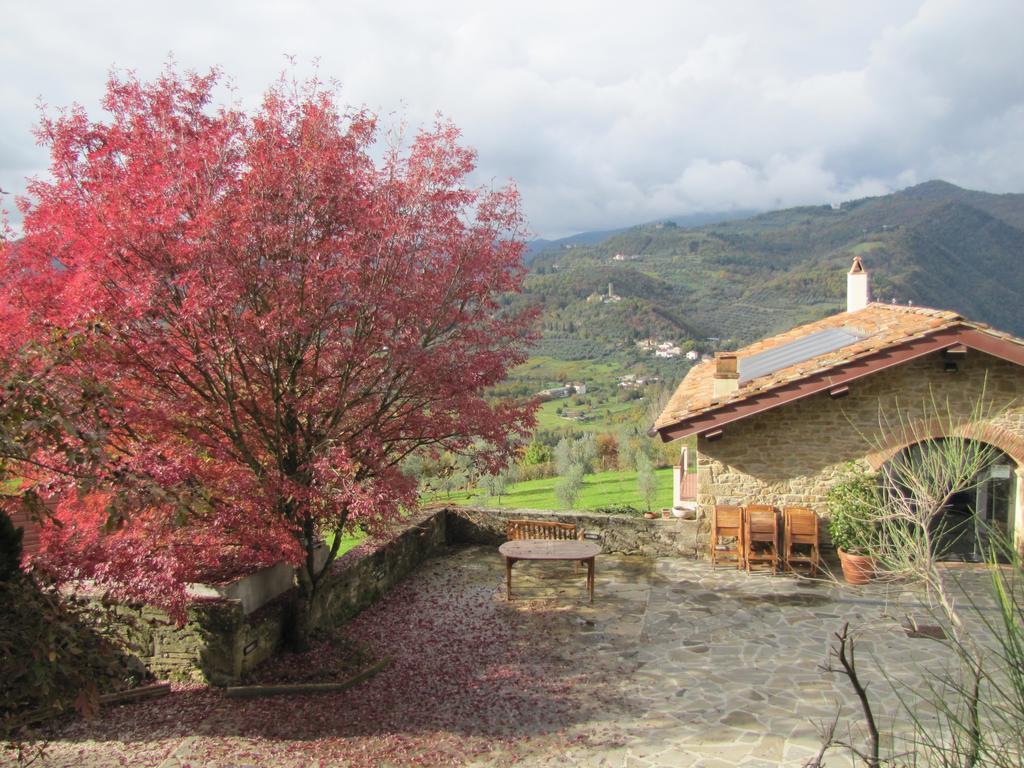 Agriturismo La Fontaccia Rufina ภายนอก รูปภาพ