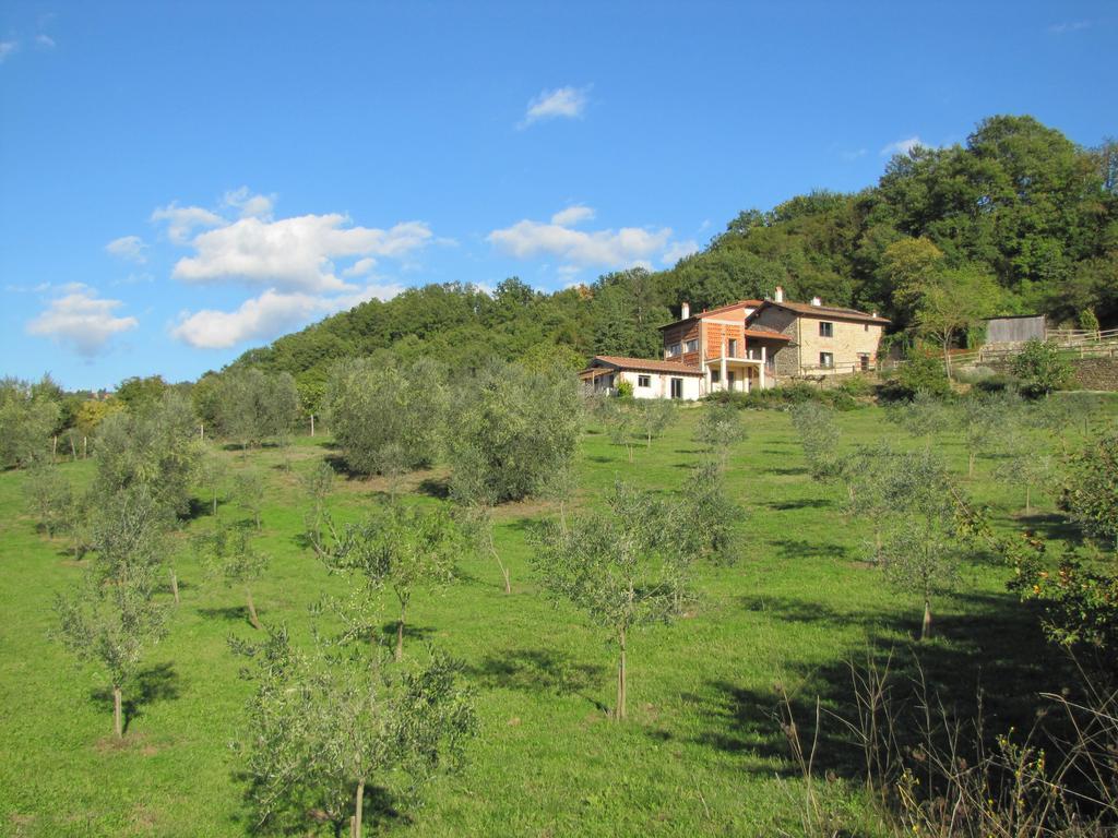 Agriturismo La Fontaccia Rufina ภายนอก รูปภาพ