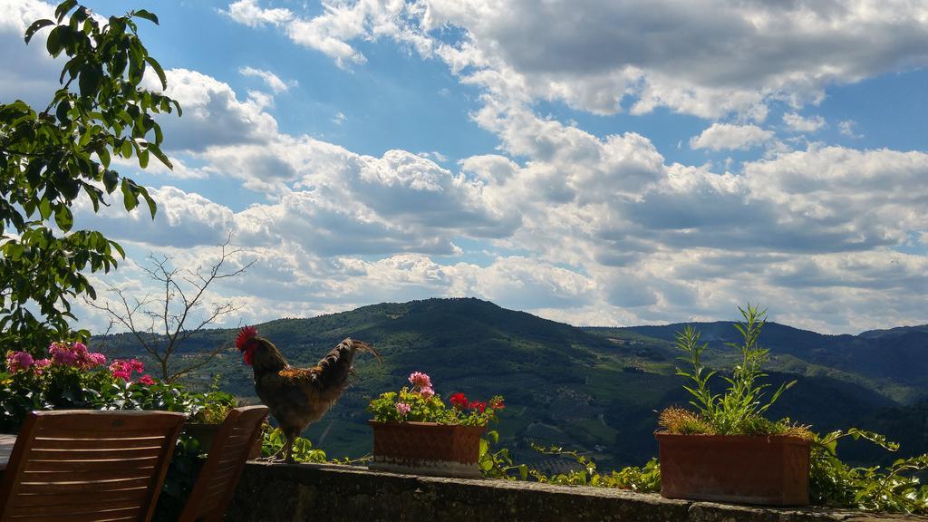 Agriturismo La Fontaccia Rufina ภายนอก รูปภาพ