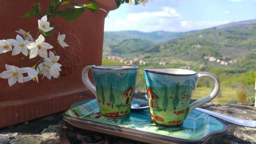 Agriturismo La Fontaccia Rufina ภายนอก รูปภาพ