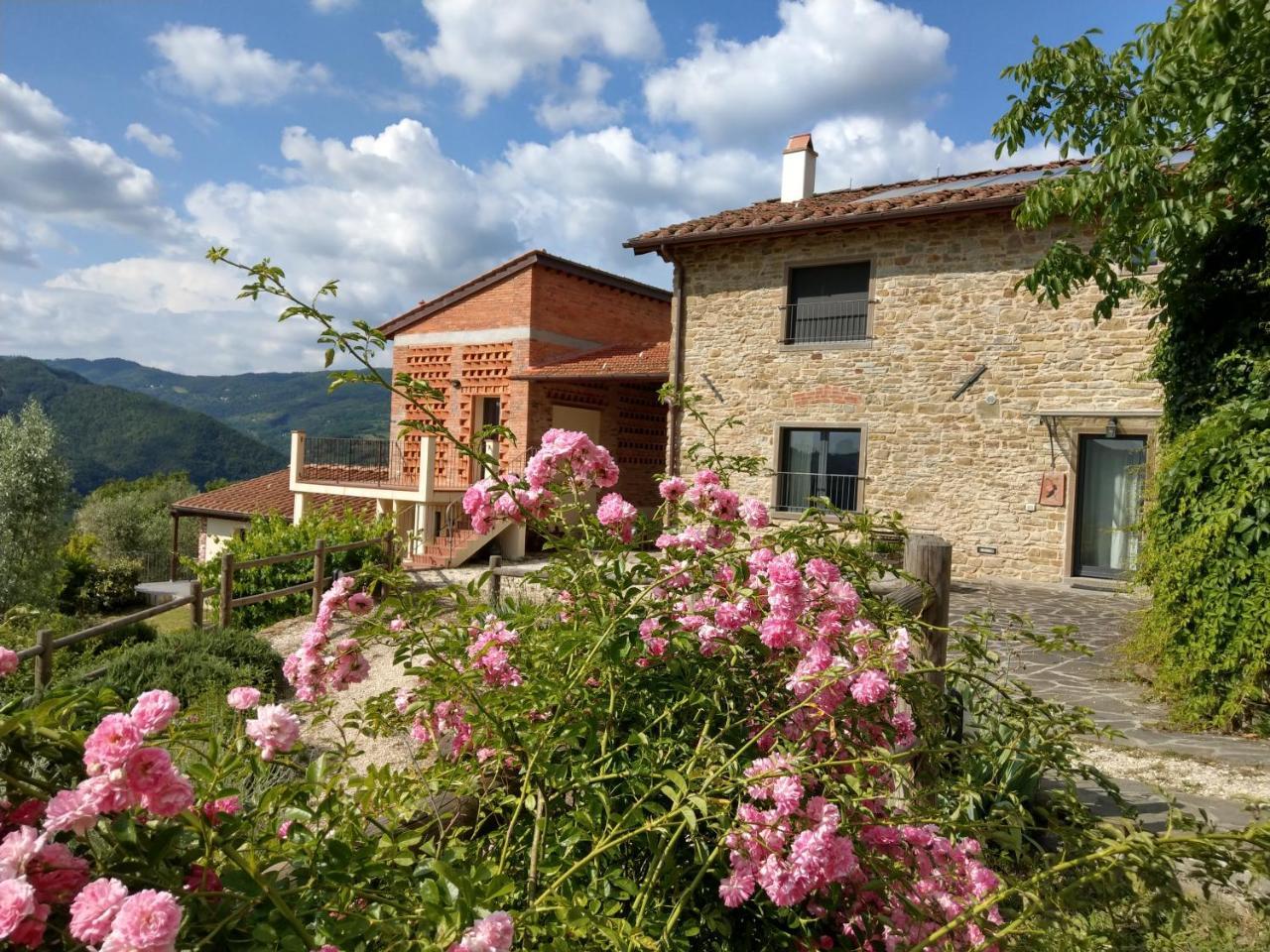 Agriturismo La Fontaccia Rufina ภายนอก รูปภาพ
